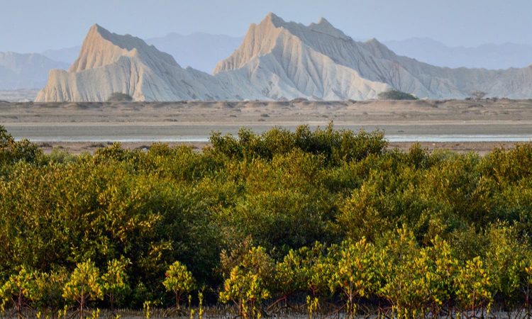 This is mostly a barren island due to the unavailability of fresh water, hence, you will not see too many trees there except a few bushes and scrubs.