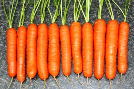 How to Grow Best Flavors and Sweet Carrots - Carrots have now come in all shapes and sizes; the traditional long, tapered ones; short stubby ones; tiny fingerlike ones; even little round ones. How to Grow Best Flavors and Sweet Carrots - Carrots have now come in all shapes and sizes; the traditional long, tapered ones; short stubby ones; tiny fingerlike ones; even little round ones.