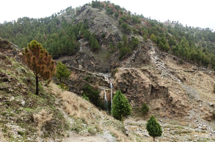 The Surrounding Area of Sajjikot Waterfall