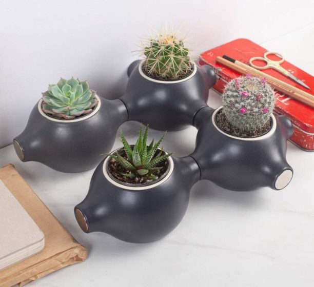 First and foremost a modular garden, Magnapot can also serve as a stand for all sorts of clutter.