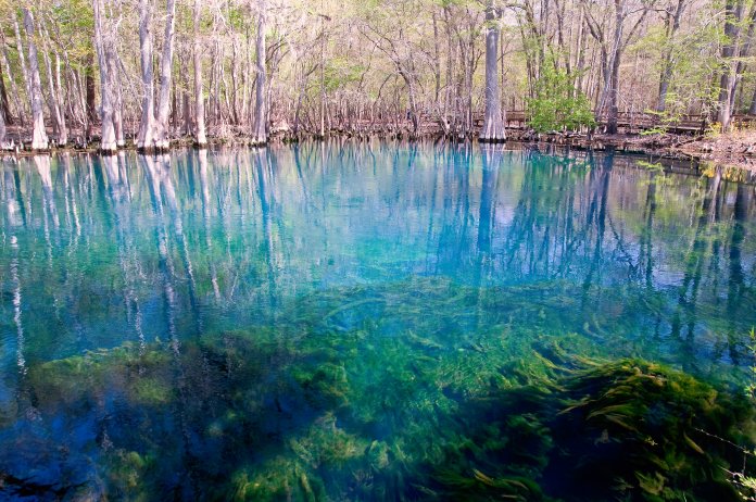 Cypress Springs is a natural hidden wonder in Northwest Florida.