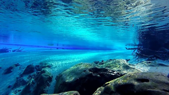 That is one of most amazing natural spring basin with many tall trees flourishing in the turquoise water.