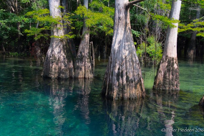According to D Magazine, Lake Cypress Spring is in the list of “Top 10 Best Lakes to Call Home”.