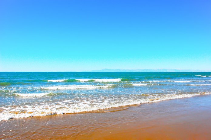 Sandy Beach is a product of weathering rock and the sea's drift. Countless molluscs and worms live inside the sand.