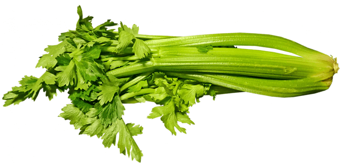 Dr. David Lewis at Aston University in Britain has demonstrated the presence of celery of an anti-inflammatory agent that clears uric acid from painful joints.